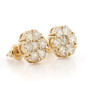Mens earrings