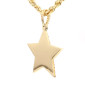 Star pendant